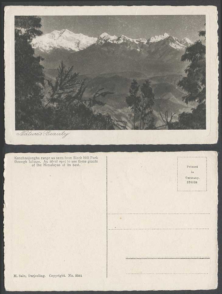 India Old Postcard Kangchenjunga kanchanjungha Range from Birch Hill Park Nature