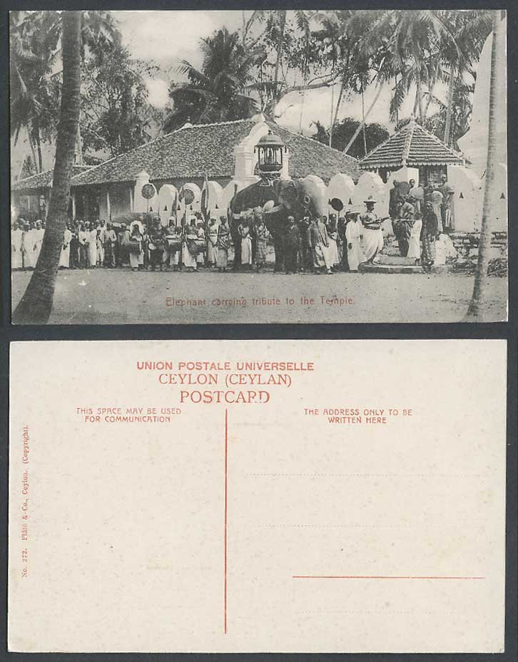 Ceylon Old Postcard Elephant Carrying Tribute to the Temple, Drummers Procession