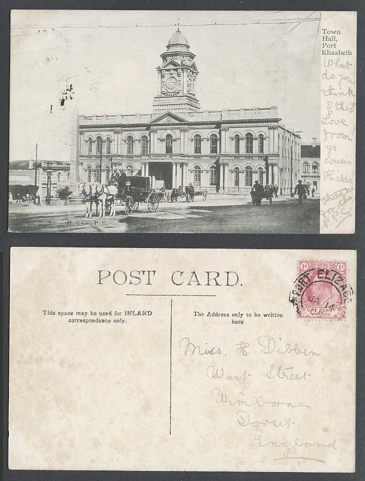 South Africa Port Elizabeth Town Hall Horse Cart Street KE7 1d 1905 Old Postcard