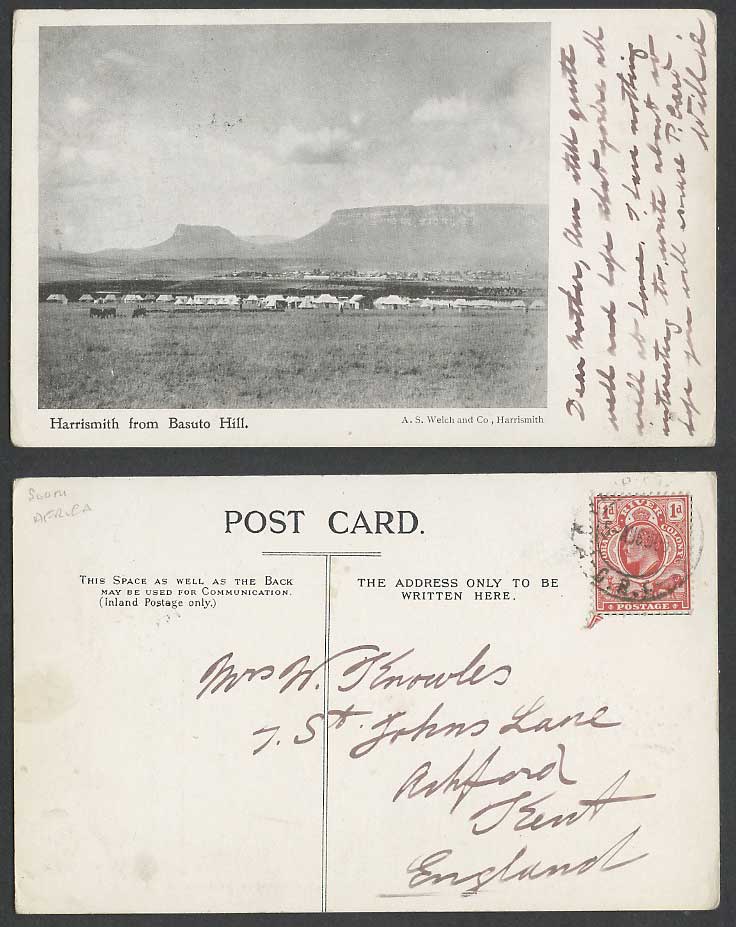 South Africa ORC 1d 1905 Old Postcard Harrismith from Basuto Hill Tents Table Mt