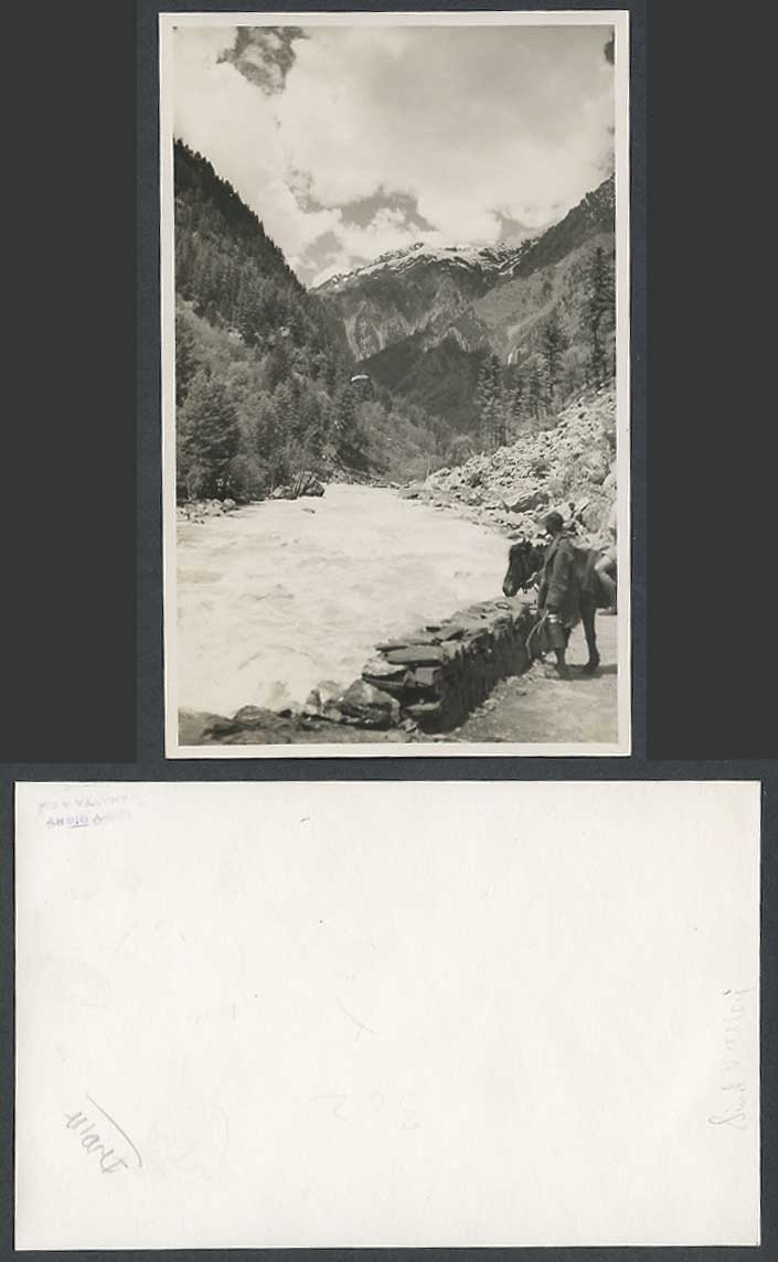 India Old Real Photo Postcard Mahatta Srinagar Sindh Valley River Scene Horse Mt