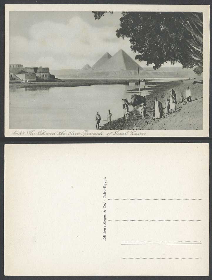 Egypt Old Postcard Cairo The Nile River Scene Three Pyramids of Gizeh Giza Camel
