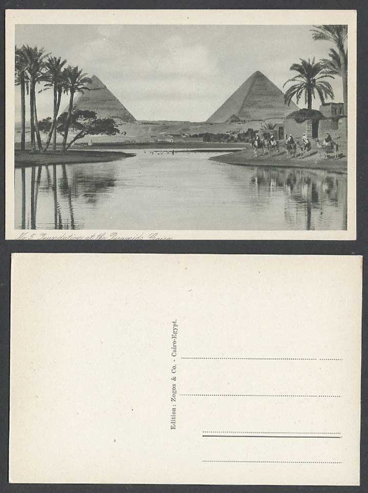 Egypt Old Postcard Cairo Inundation at Pyramids Camel Riders Camels Palm Trees 5