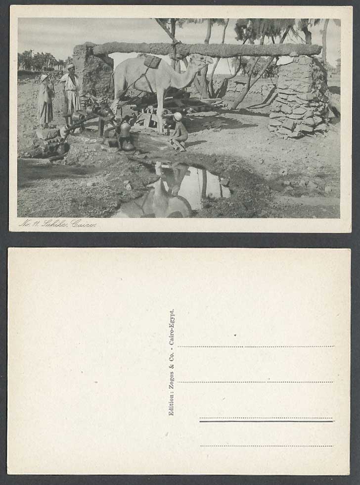Egypt Old Postcard Cairo Sakihe Sakiehs Camel Drawing Water Wheel Irrigation Boy