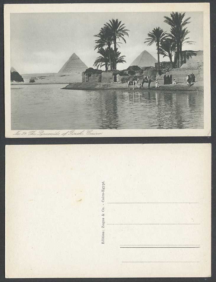 Egypt Old Postcard Cairo The Pyramids of Gizeh Giza Natives Camels Palm Trees 54