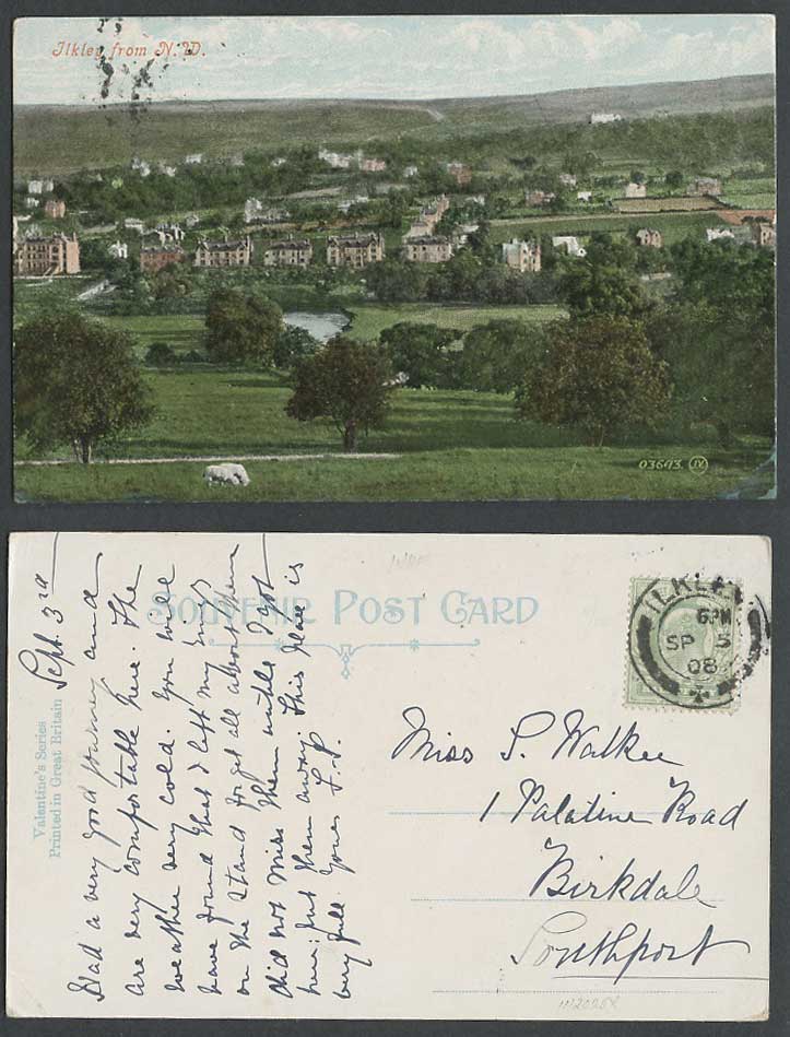 Ilkley from N.W. North West Sheep Grazing River Panorama 1908 Old Color Postcard