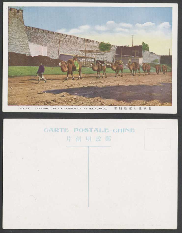 China Old Postcard Camel Train at Outside Peking Wall, Mongolian Camels Caravan