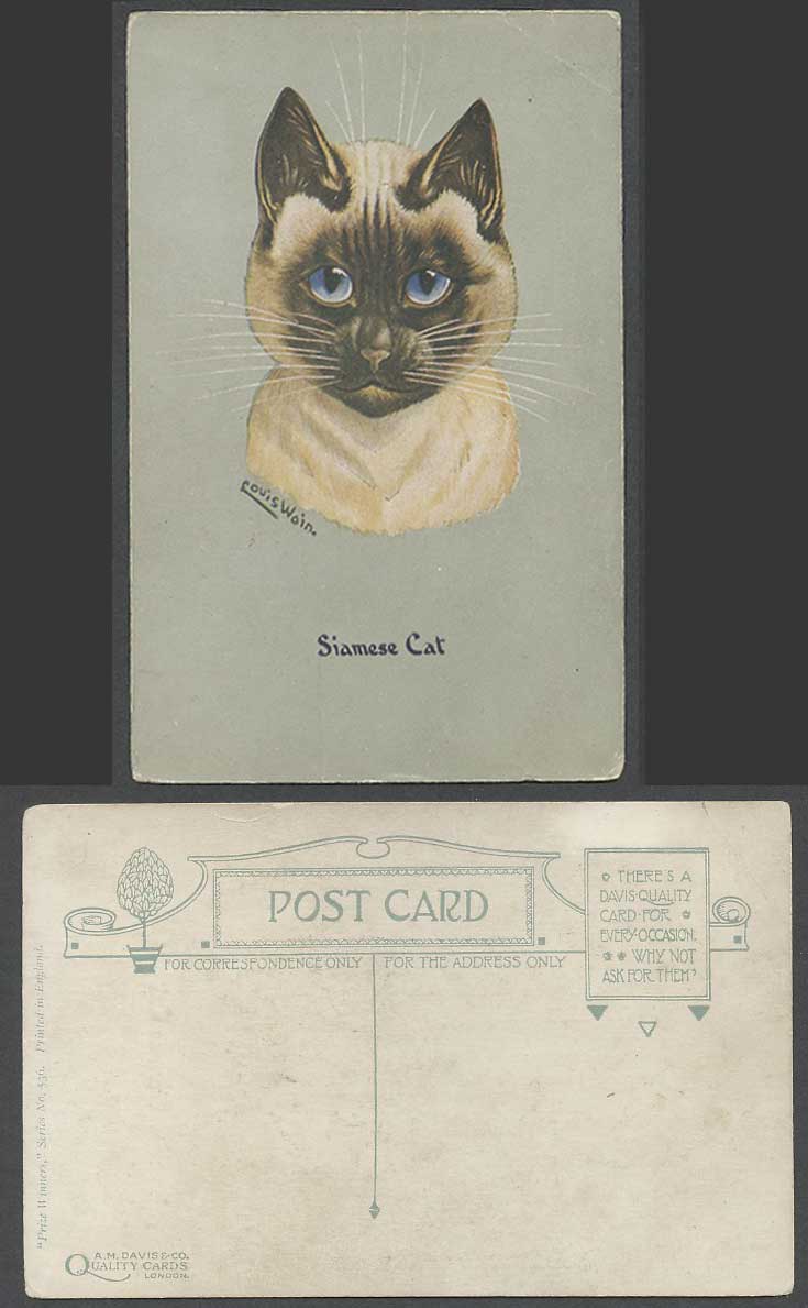LOUIS WAIN Artist Signed Siamese Cat Kitten, Prize Winners Old Postcard AM Davis