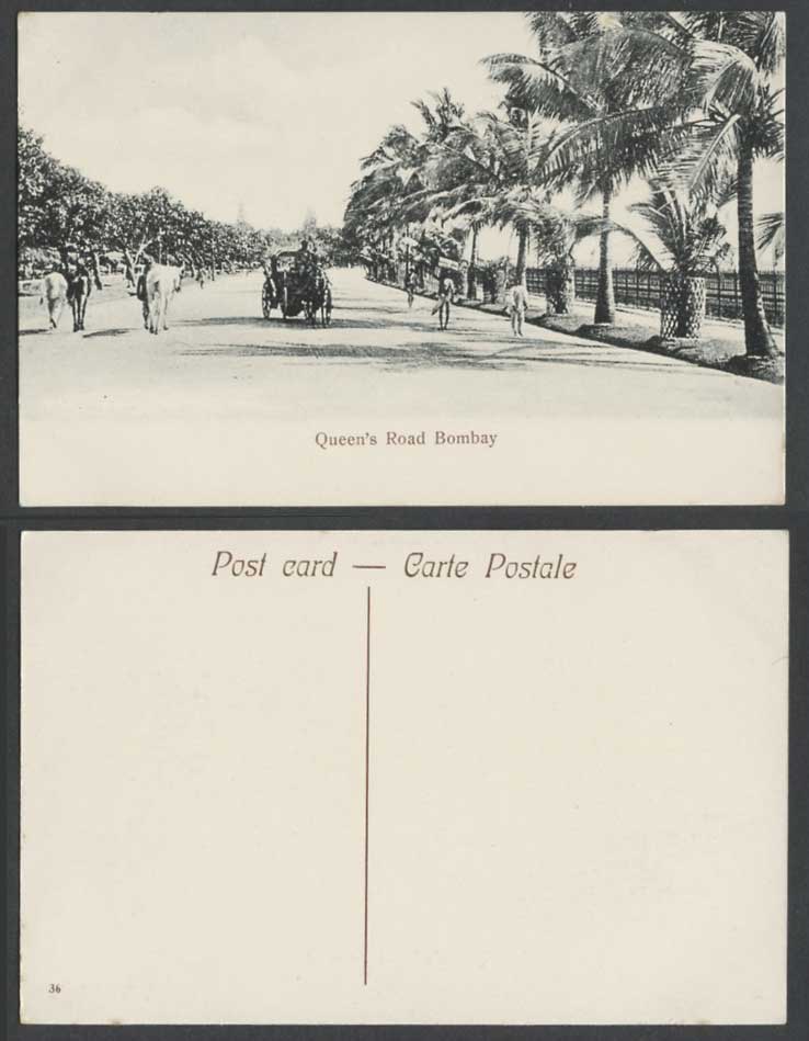 India Old Postcard QUEEN'S ROAD Street Scene Bombay Palm Trees Horse Cart Driver