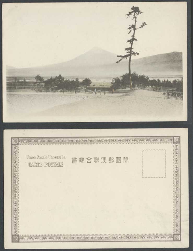 Japan Old Hand Tinted Postcard Mount Mt. Fuji Mountain Pine Tree Rickshaw Coolie
