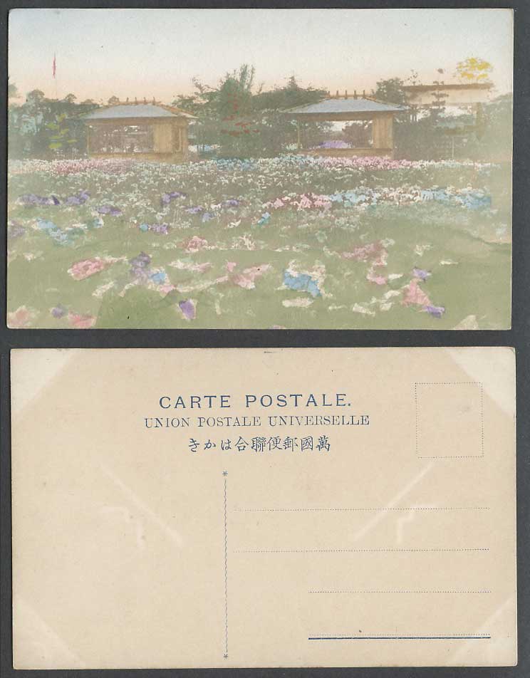 Japan Old Hand Tinted Postcard Iris Garden Iris Flower Flowers Gardens Pavilions