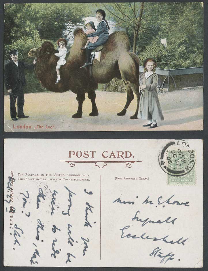 Bactrian Mongolian Camel Children Girls Riding, The Zoo 1906 Old Colour Postcard