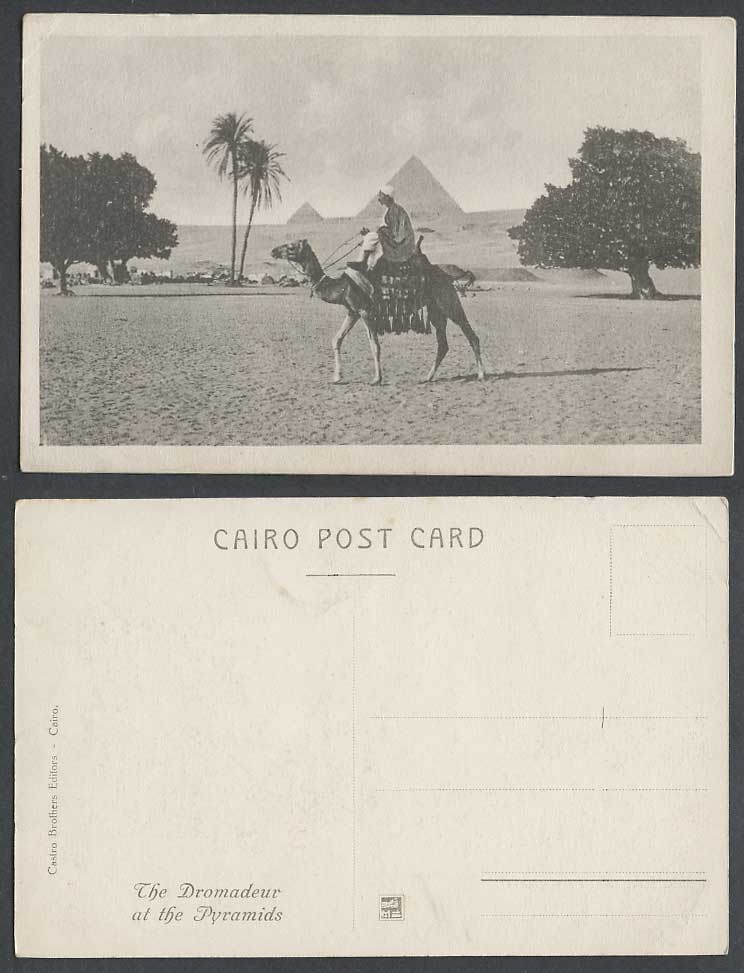 Egypt Old Postcard Cairo Dromadeur Camel at The Pyramids Palm Trees Desert Dunes