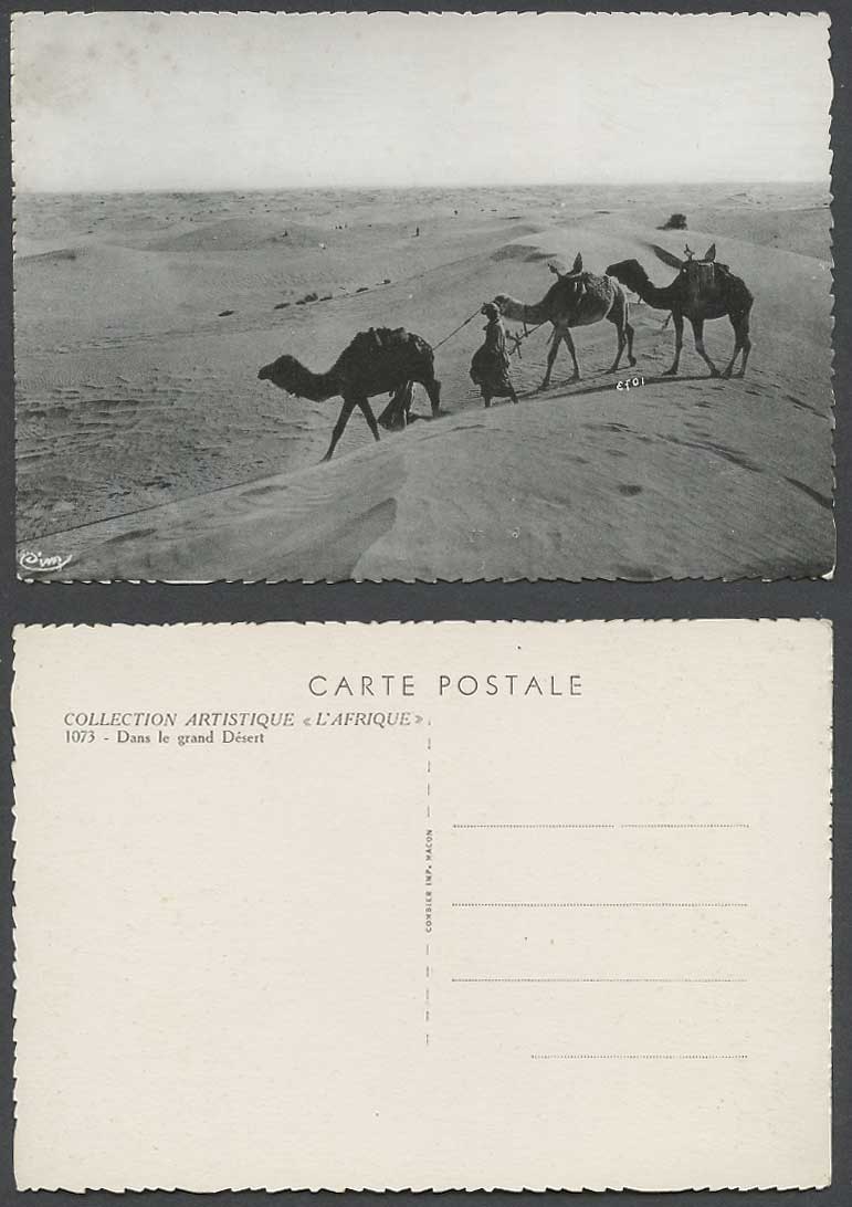 Egypt Old Postcard Camels Camel Caravan Sand Dunes, Dans le Grand Desert, Africa