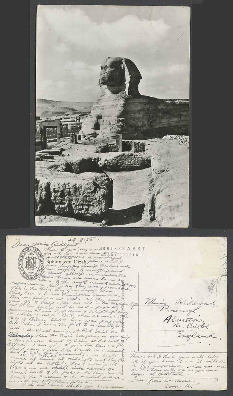Egypt Cairo Sphinx Gizeh Giza 1955 Old Postcard NV Steamship Society Netherlands