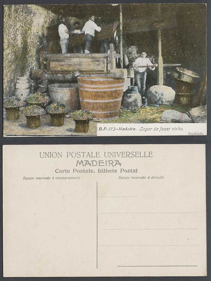 Portugal Old Color Postcard Madeira Lagar de Fazer Vinho Wine Making Mill Worker