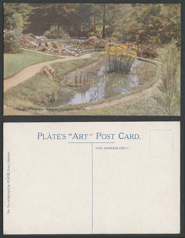 Ceylon Old Colour Postcard The Rock Garden Hakgala Hakgalla Gardens Flowers Pond
