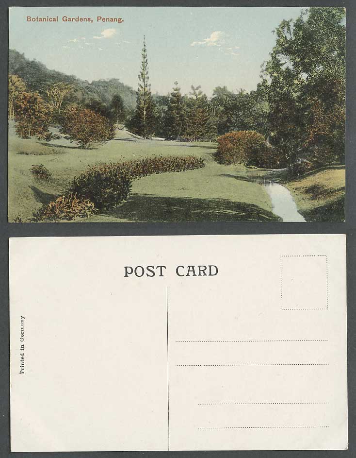 Penang Old Colour Postcard Botanical Gardens Botanic Garden A River Stream Brook