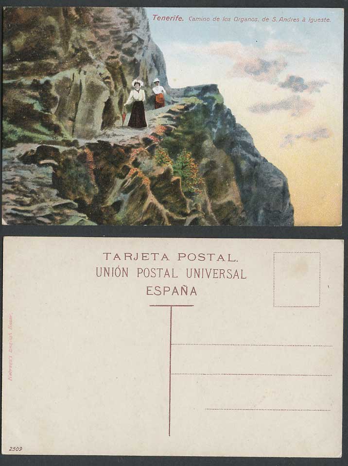 Spain Old Colour Postcard TENERIFE Camino de los Organos, de S. Andres a Igueste