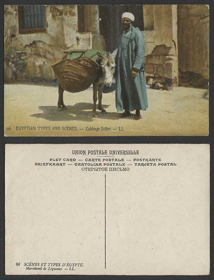 Egypt Old Colour Postcard Cabbage Seller Donkey Native Egyptian Arab Man L.L. 96
