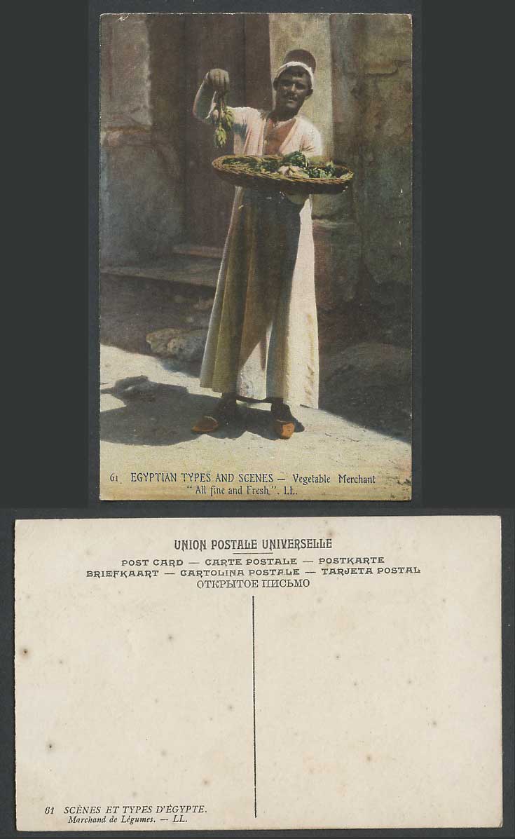 Egypt Old Postcard Native Vegetable Merchant Seller Vendor, Fine & Fresh L.L. 61