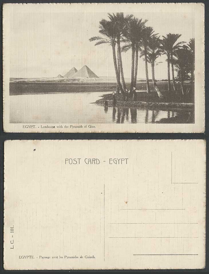 Egypt Old Postcard Landscape with Pyramids of GIZA Gizeh Palm Trees & Nile River