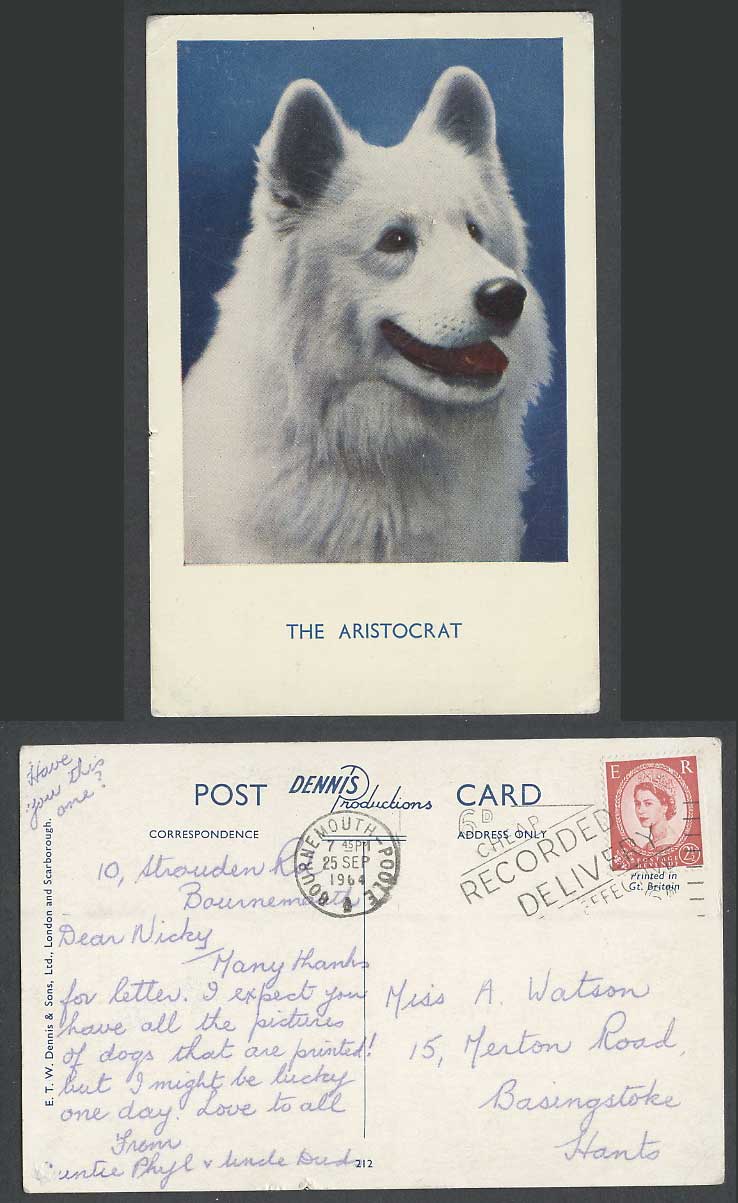 American Eskimo Dog The Aristocrat 1964 Old Colour Postcard Puppy Pet Animal ETW