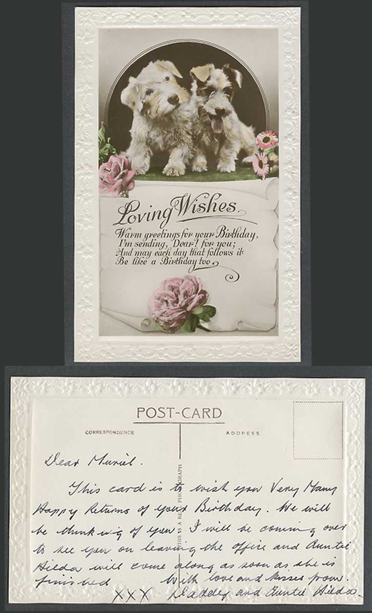 Fox Terrier Dog Puppy Dogs Puppies Loving Wishes Birthday Greetings Old Postcard