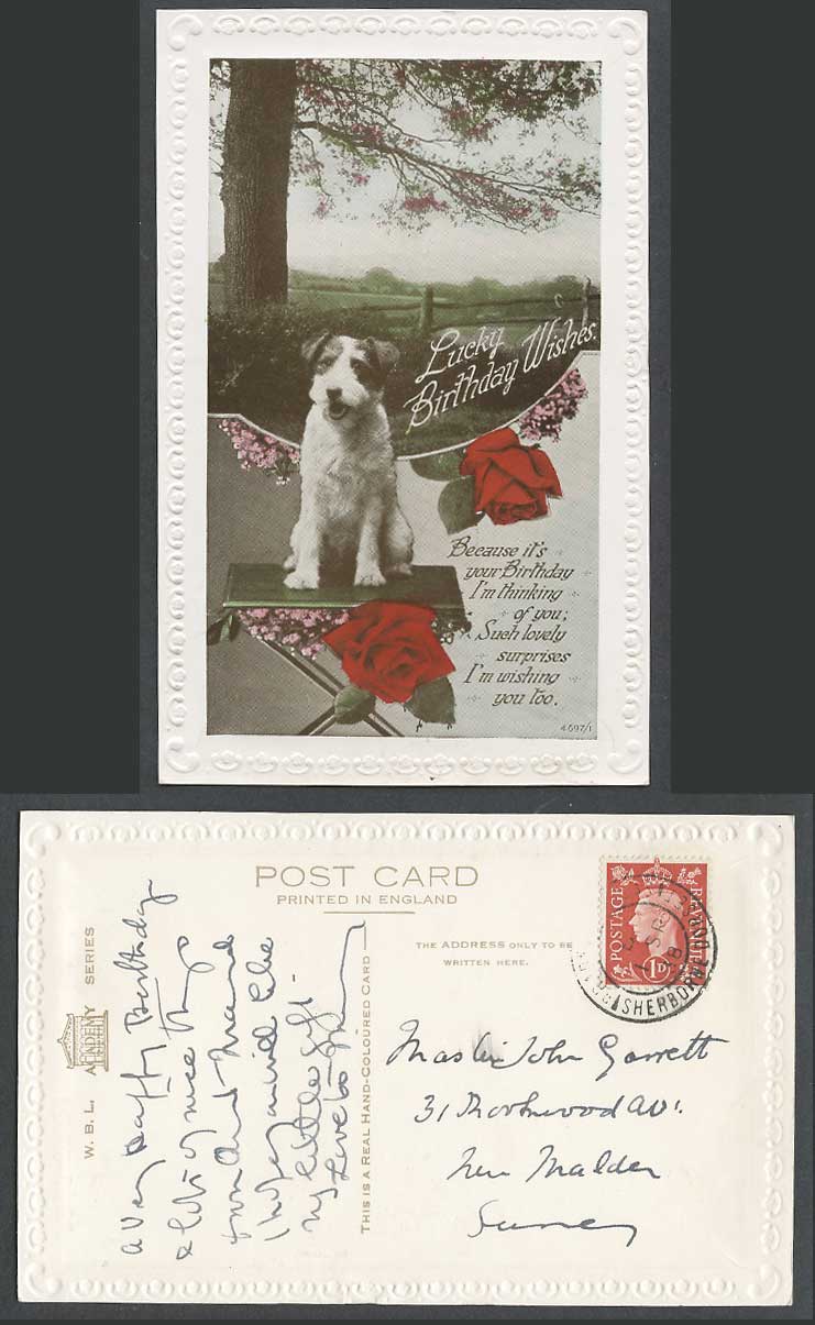 Fox Terrier Dog Puppy Pet Animals Roses Lucky Birthday Wishes 1938 Old Postcard