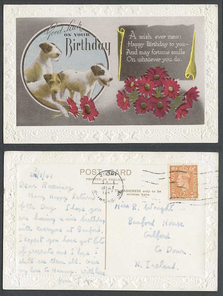 Fox Terrier Dog Puppy Puppies Dogs, Good Luck on Your Birthday 1944 Old Postcard