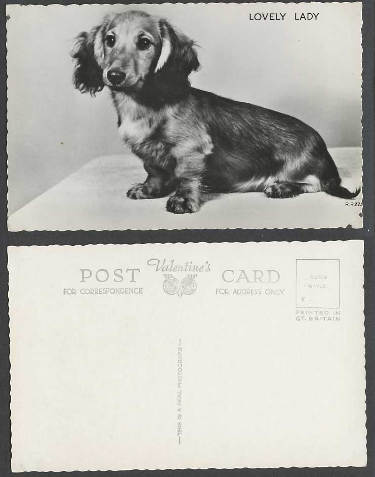 Dachshund German Sausage Dog Puppy Lovely Lady Old Real Photo Postcard PetAnimal