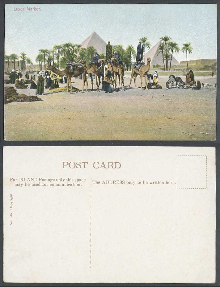 Egypt Old Postcard LUXOR MARKET Pyramids Camels Donkey Camel Riders Palm Trees