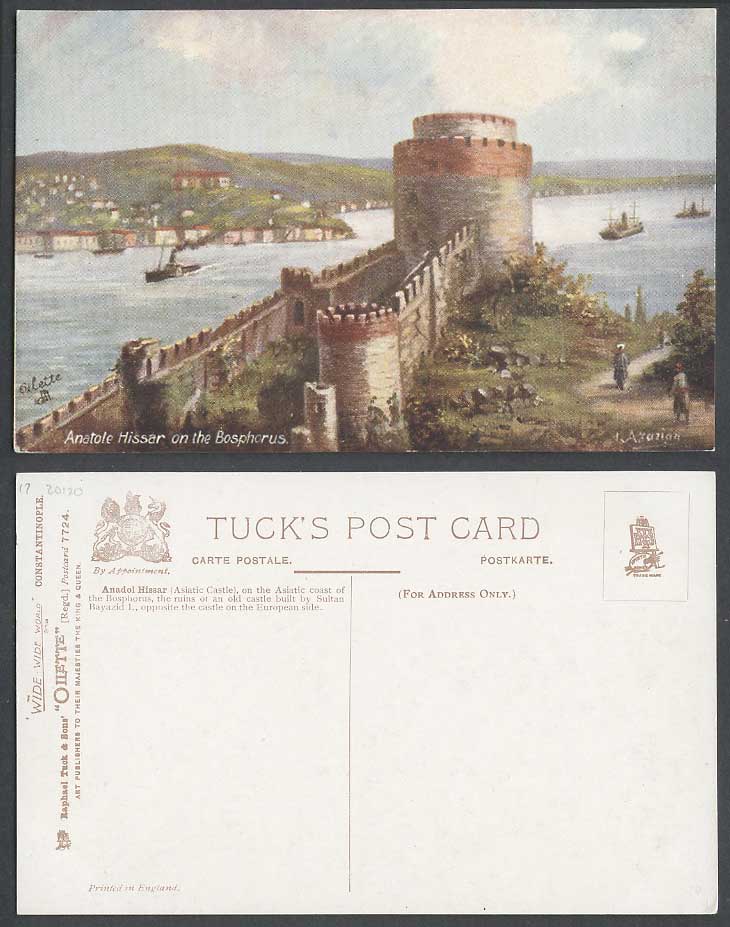 Turkey Old Tuck's Postcard Anadol Hissar Asiatic Castle Bosphorus Constantinople