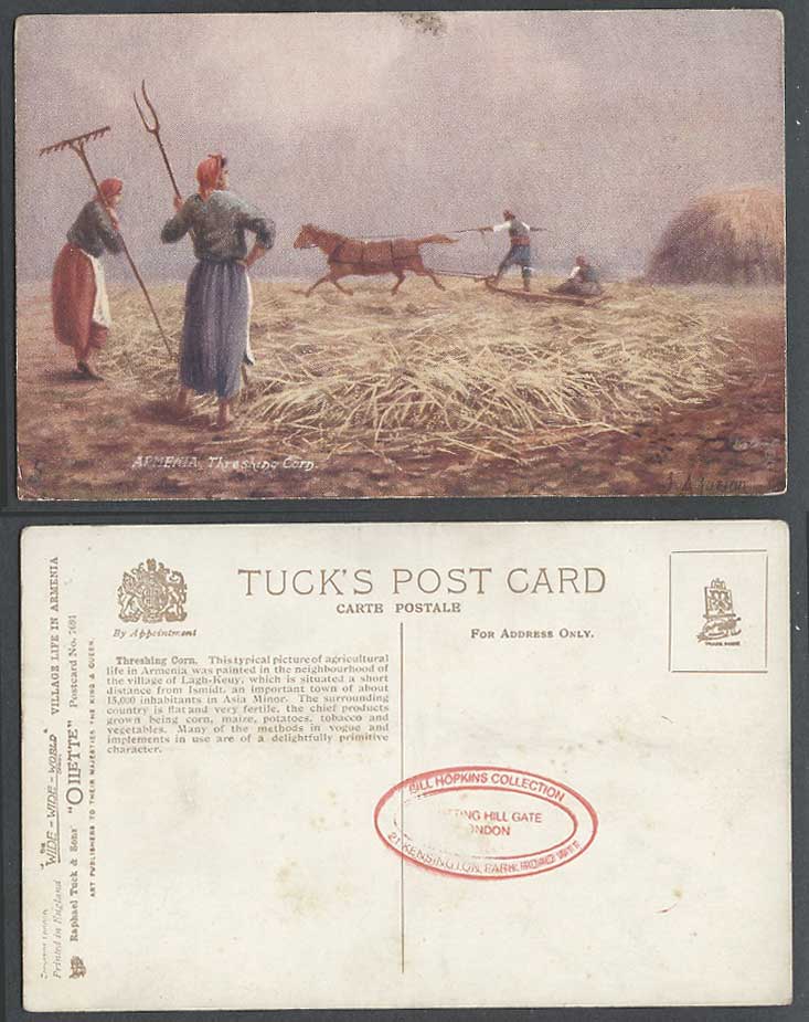 Armenia Old Tuck's Postcard Threshing Corn, Lagh-Keuy Village, Asia Minor Ismidt