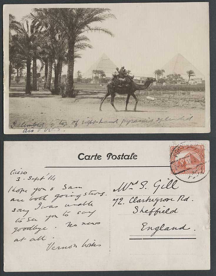 Egypt Sphinx Pyramid 4m 1914 Old Postcard Cairo Pyramids Camel Riders Palm Trees