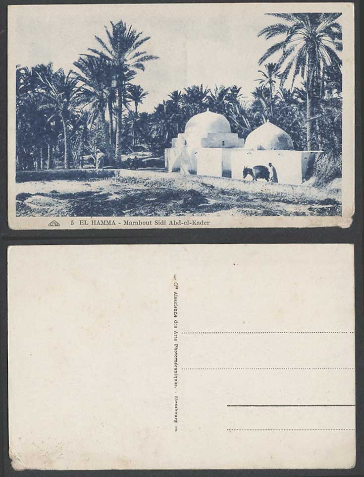 Tunisia Old Postcard El Hamma, Marabout Sidi Abd-el-Kader, Palm Trees, Africa