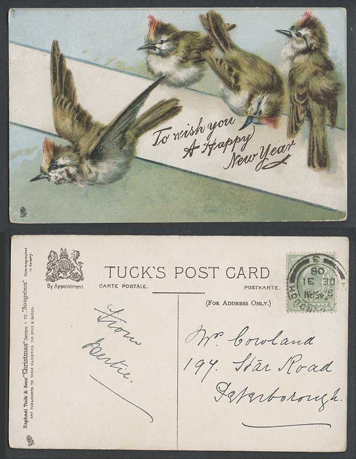 Tuck's Christmas Songsters Birds, To Wish you a Happy New Year 1908 Old Postcard