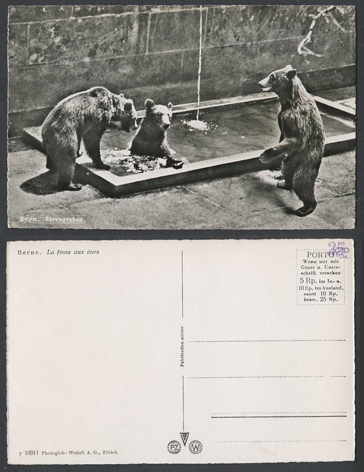Switzerland BERN Baerengraben Fosse aux Ours Bear Bears Bathing Old RP Postcard