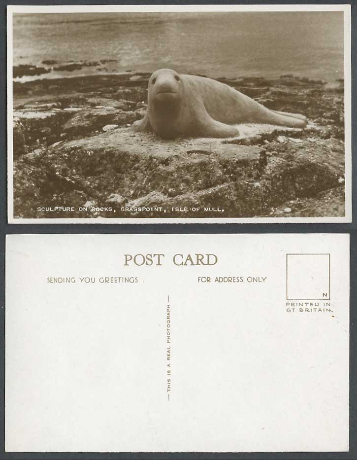 ISLE OF MULL Old Real Photo Postcard Sculpture on Rocks Grasspoint Seal Sea Lion