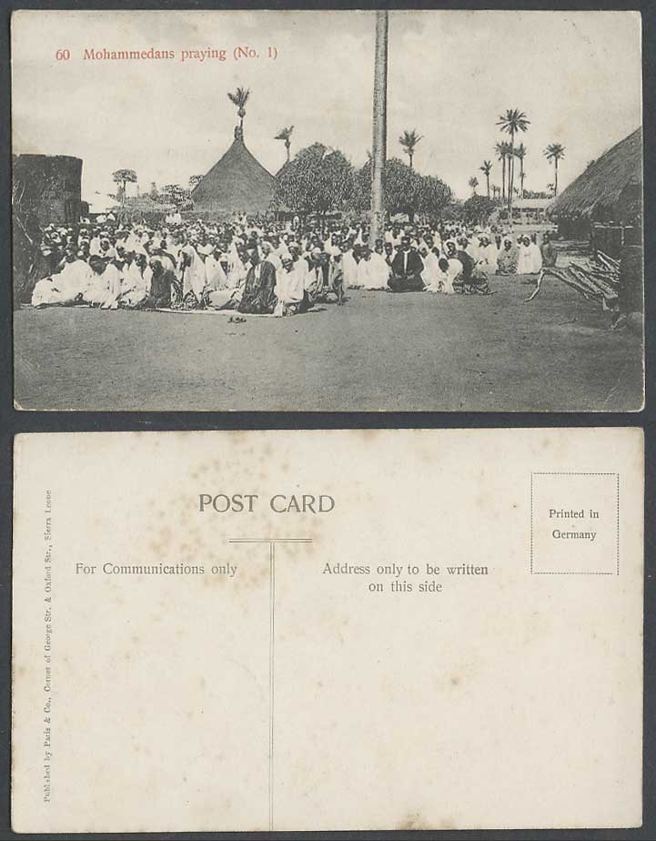 Sierra Leone Old Postcard Mohammedans Praying 1 Muslim Prayer Prayers Palm Trees