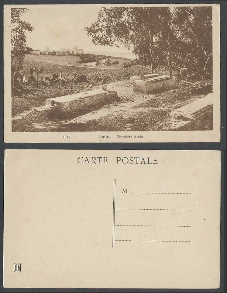 Tunisia Old Postcard Tunis, Arabic Arab Cemetery, Cimetiere Arabe, Graves Cactus