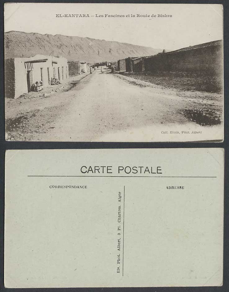 Algeria Old Postcard El-Kantara Les Fascines et la Route de Biskra, Street Scene