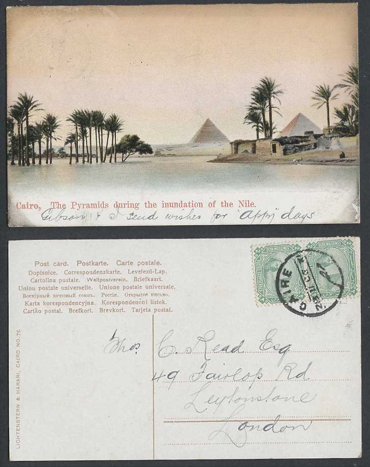 Egypt 1906 Old Colour Postcard Cairo Pyramids Giza During Inundation, Nile River