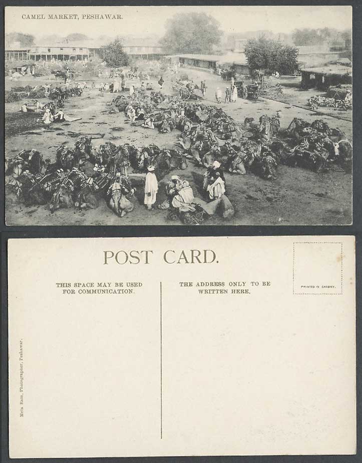Pakistan Old Postcard CAMEL MARKET PESHAWAR, Carts Camels Resting Sellers, India