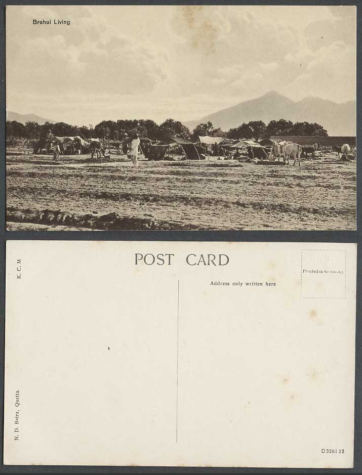 Pakistan Old Postcard Brahui Living, Quetta, Camp Tents Encampment Animals India