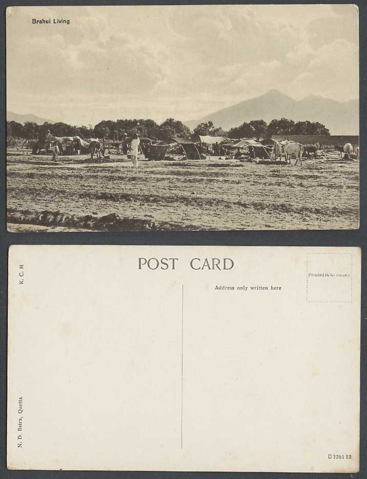 Pakistan Old Postcard Brahui Living Quetta Camp Tents Animals Ethnic Life, India