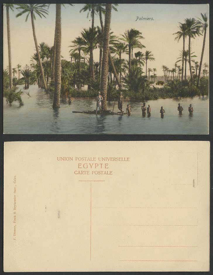Egypt Old Hand Tinted Postcard Palmiers Palm Trees Raft Native Boy Bathers Flood