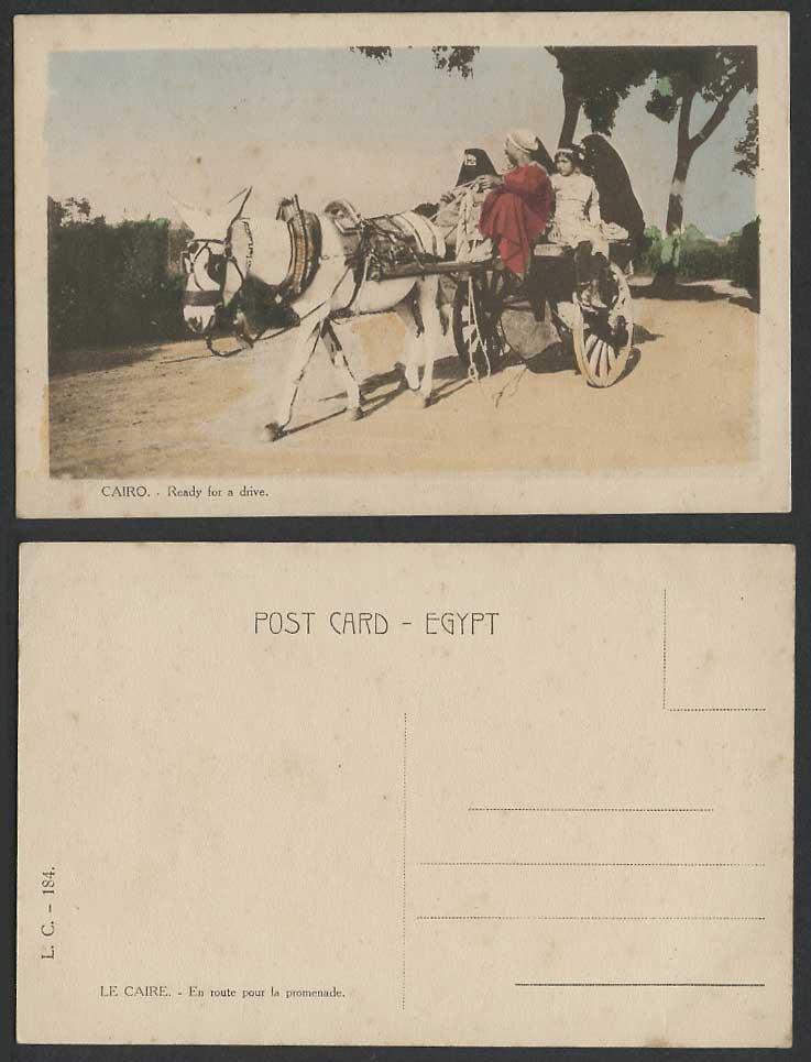 Egypt Old Hand Tinted Postcard Cairo Donkey Cart Ready for a Drive, Veiled Women