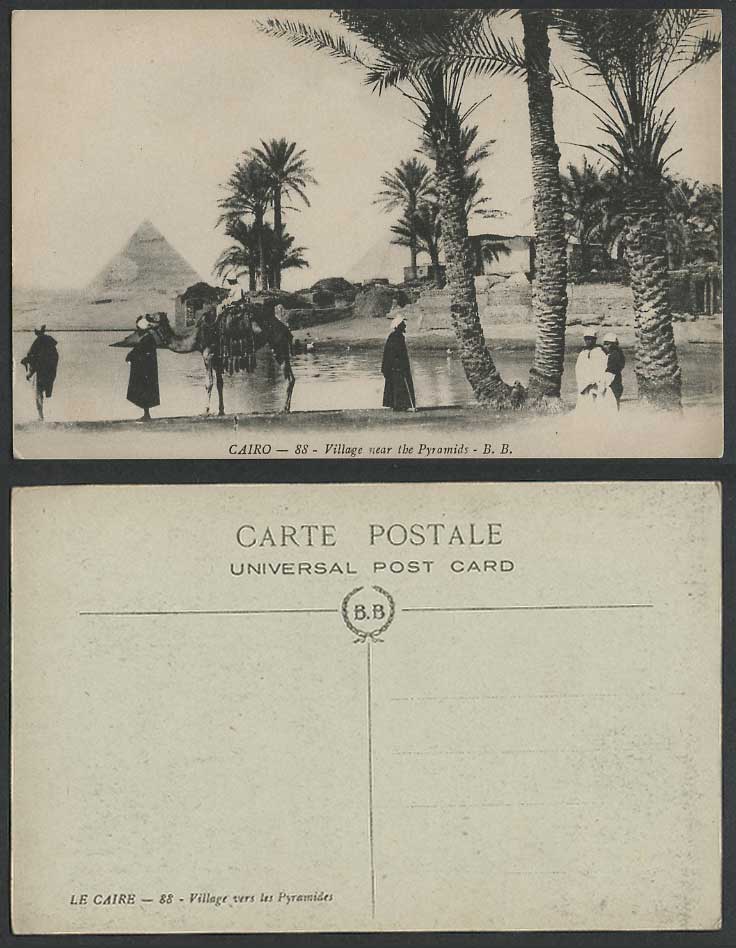 Egypt Old Postcard Cairo Village near Pyramids Camel Rider Palm Trees Nile Flood