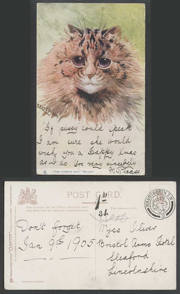 LOUIS WAIN Artist Signed CAT Kitten She Cometh Not 1904 Old Postcard Postage Due